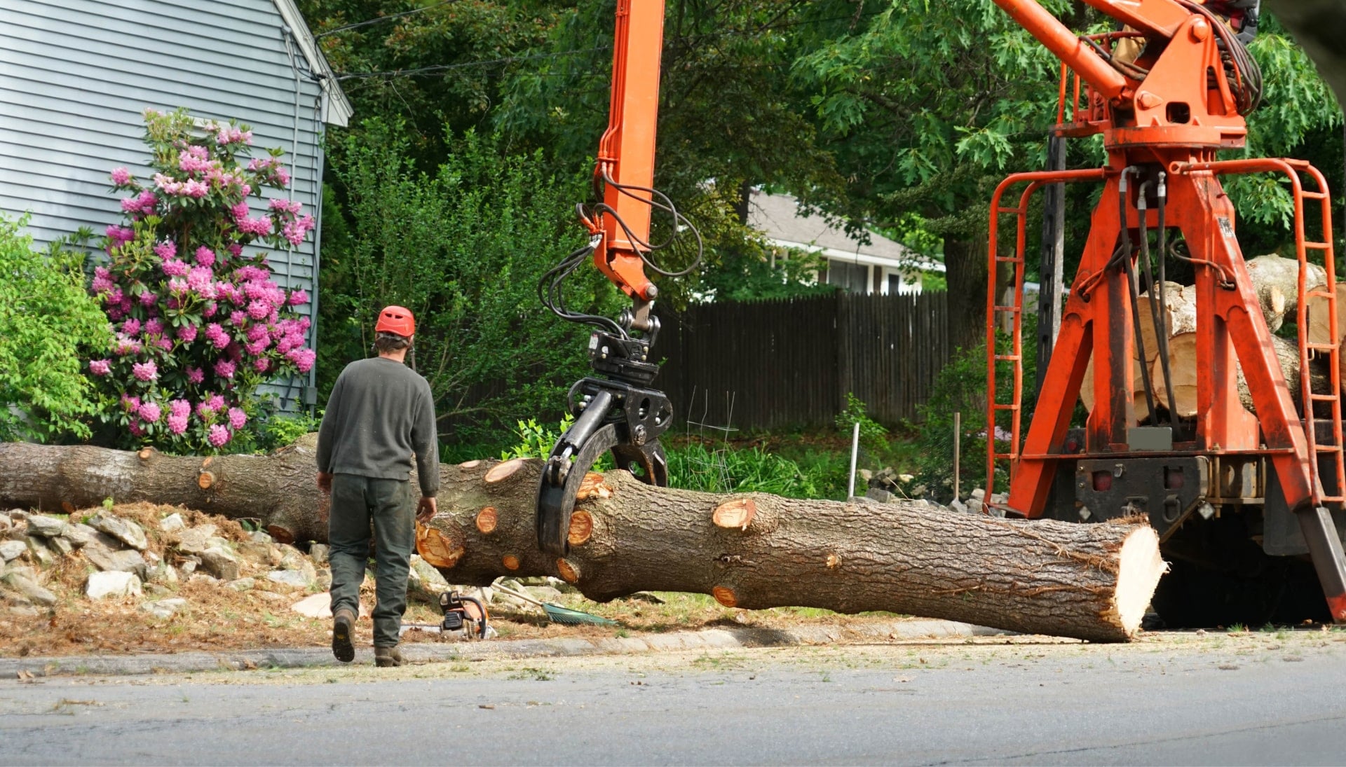Local partner for Tree removal services in Jefferson City