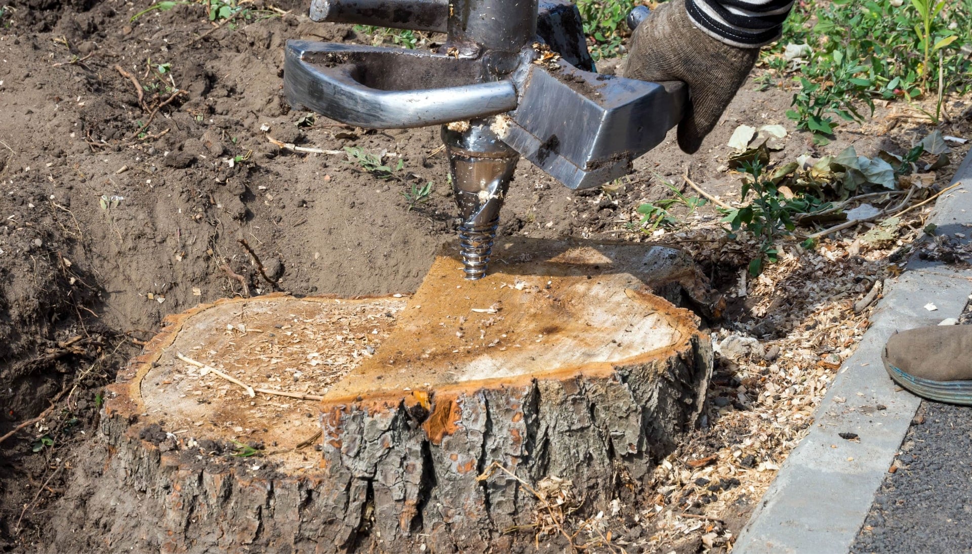 Jefferson City Tree stump removal